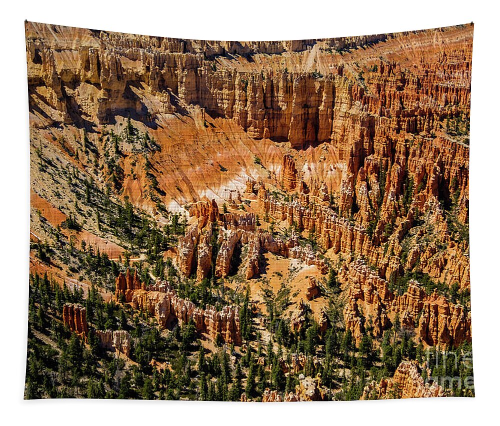 Bryce Canyon Tapestry featuring the photograph Bryce Canyon Utah #16 by Raul Rodriguez