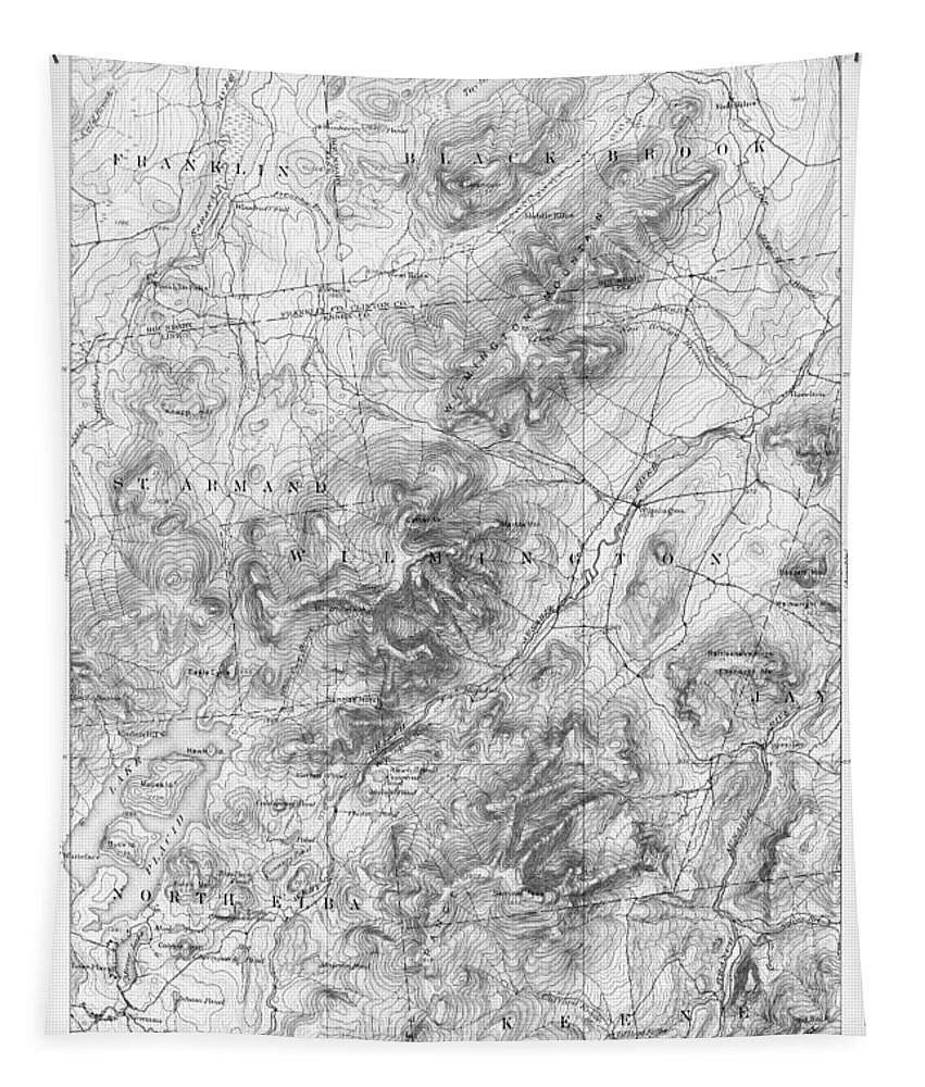 Lake Tapestry featuring the digital art 1894 Lake Placid Geological Survey Map Adirondacks Black and White by Toby McGuire