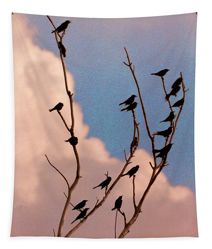 Birds Tapestry featuring the photograph 19 Blackbirds by Steve Karol
