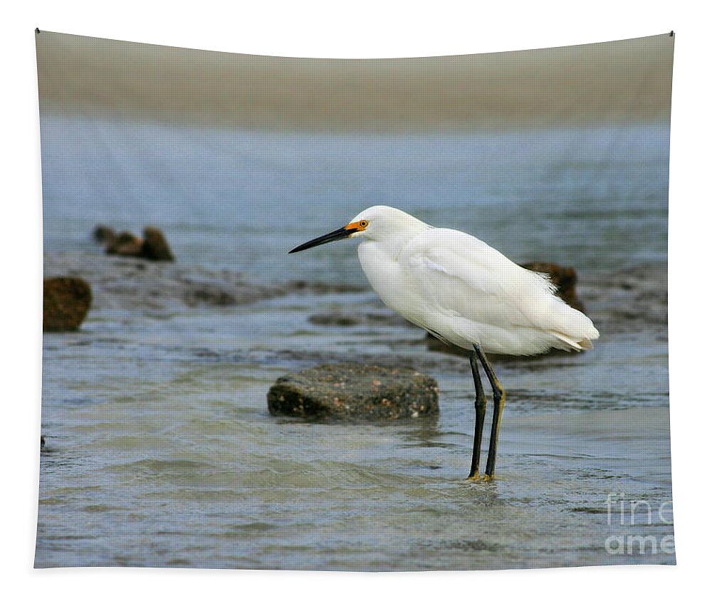  Tapestry featuring the photograph Egret #19 by Angela Rath