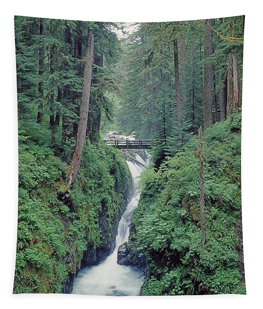 1m4075 Tapestry featuring the photograph 1M4075 Sol Duc Falls WA by Ed Cooper Photography