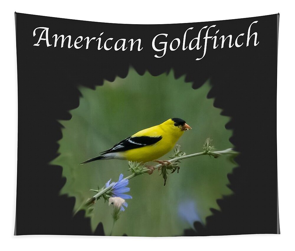American Goldfinch Tapestry featuring the photograph American Goldfinch by Holden The Moment