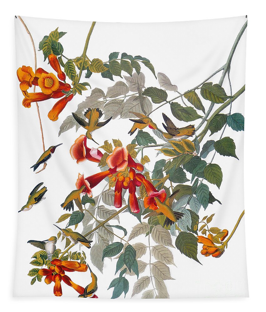 1838 Tapestry featuring the photograph Audubon: Hummingbird #2 by Granger