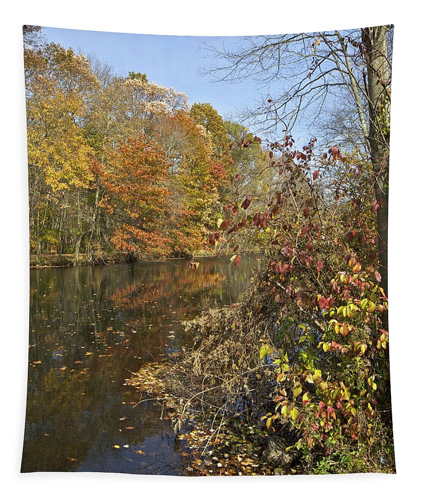 Autumn Tapestry featuring the photograph Autumn Colors on the Canal by David Letts
