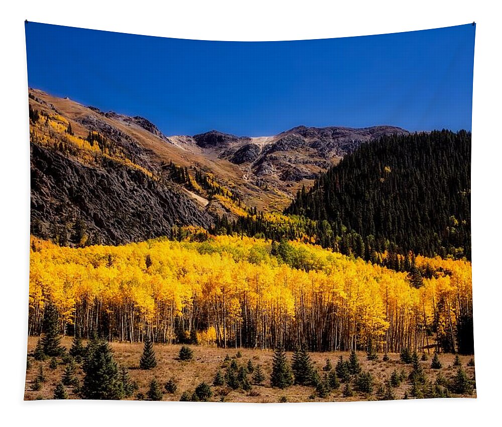 Colorado Tapestry featuring the photograph Autumn In Colorado #2 by Mountain Dreams