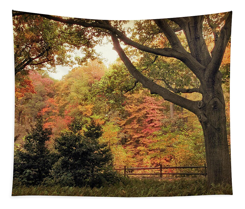 Autumn Tapestry featuring the photograph Autumn Woodland #2 by Jessica Jenney
