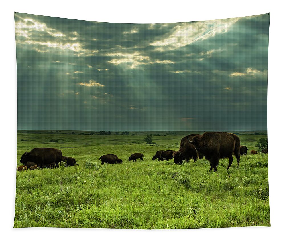 Jay Stockhaus Tapestry featuring the photograph Bison #2 by Jay Stockhaus