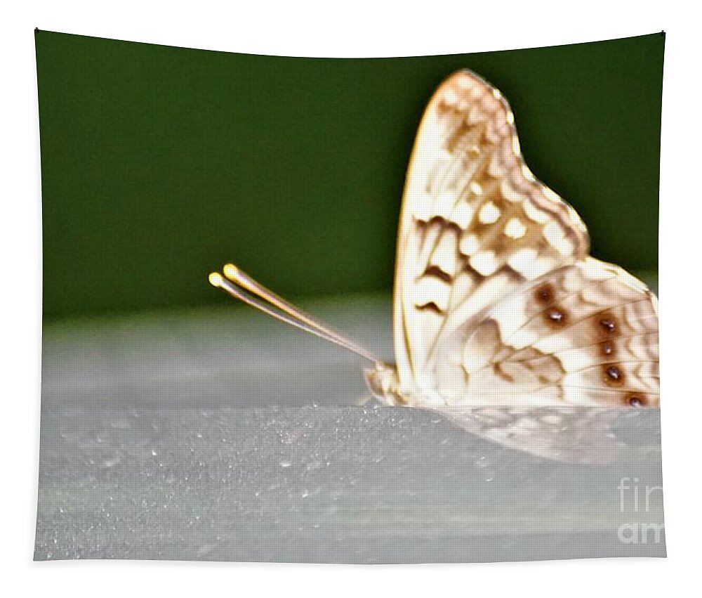 Butterflies Tapestry featuring the photograph Butterfly on my car5 by Merle Grenz