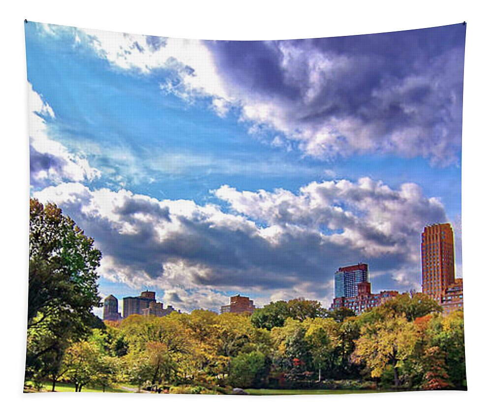 Central Park Tapestry featuring the photograph Central Park #3 by Doolittle Photography and Art