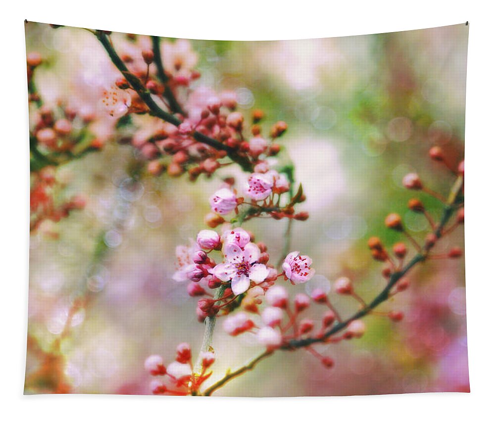 Cherry Blossoms Tapestry featuring the photograph Cherry Blossoms in Spring #2 by Peggy Collins
