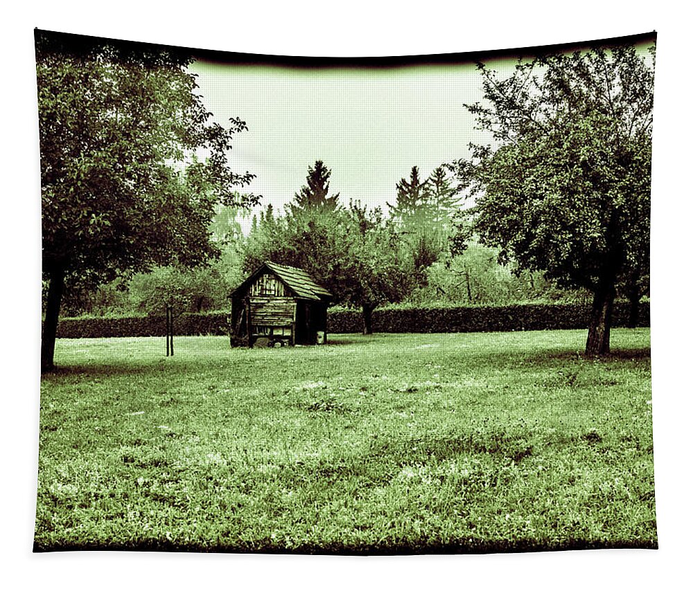 Winterpacht Tapestry featuring the photograph Country Garden #2 by Miguel Winterpacht