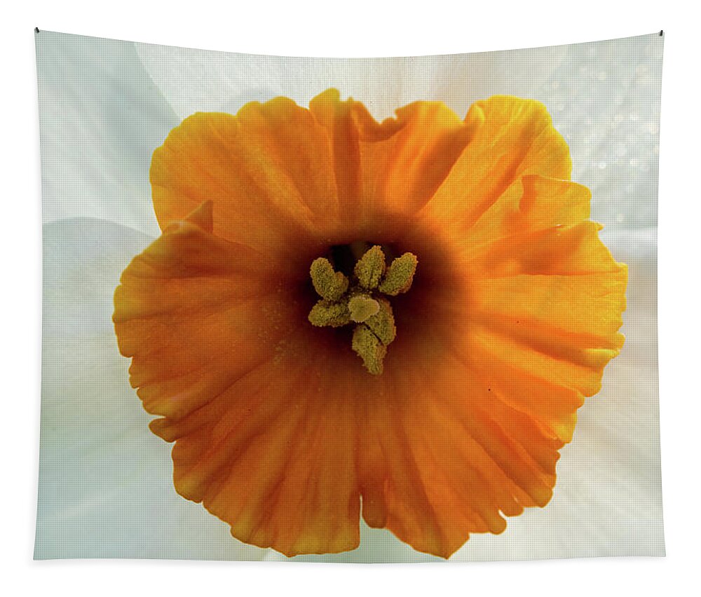 Jay Stockhaus Tapestry featuring the photograph Daffodil #2 by Jay Stockhaus