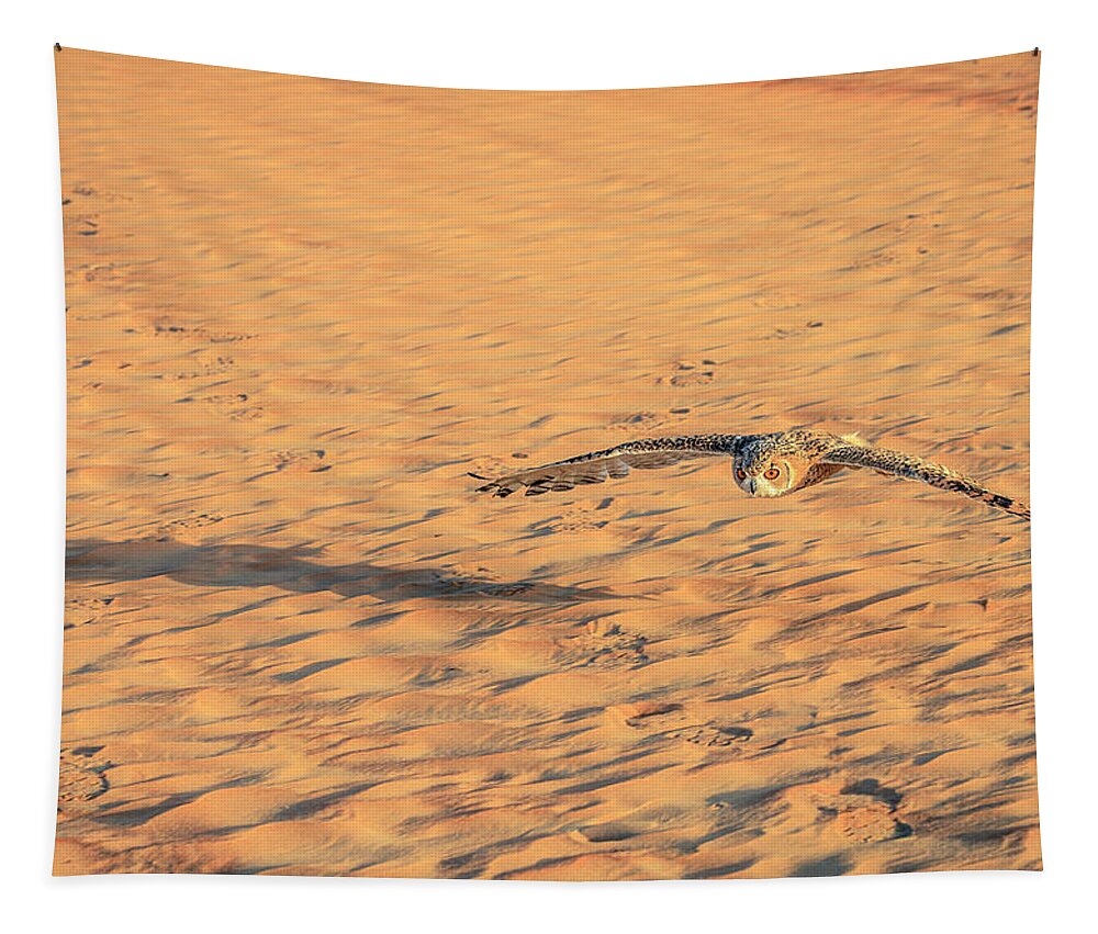 Dubai Tapestry featuring the photograph Desert Eagle Owl #2 by Alexey Stiop