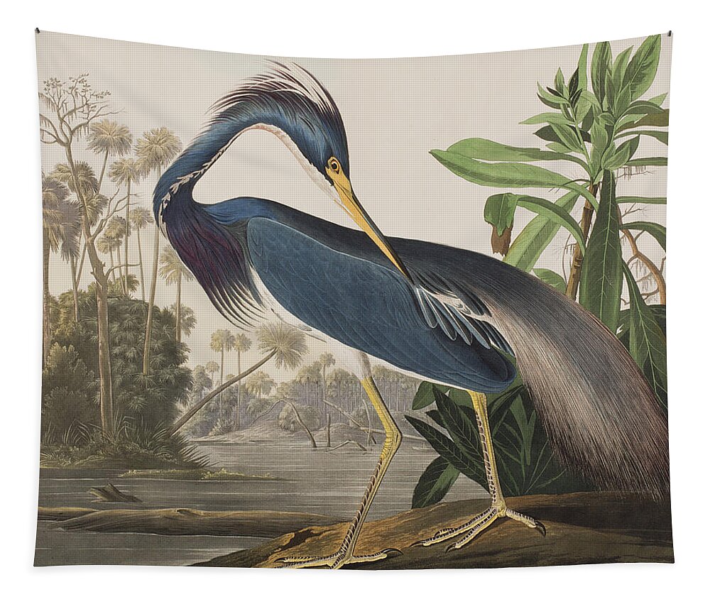 Louisiana Heron Tapestry featuring the painting Louisiana Heron by John James Audubon