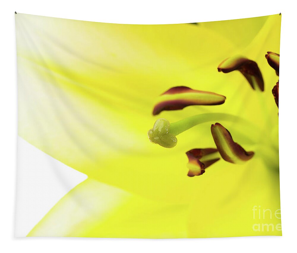 Abstract Tapestry featuring the photograph Oriental Lily Flower by Raul Rodriguez