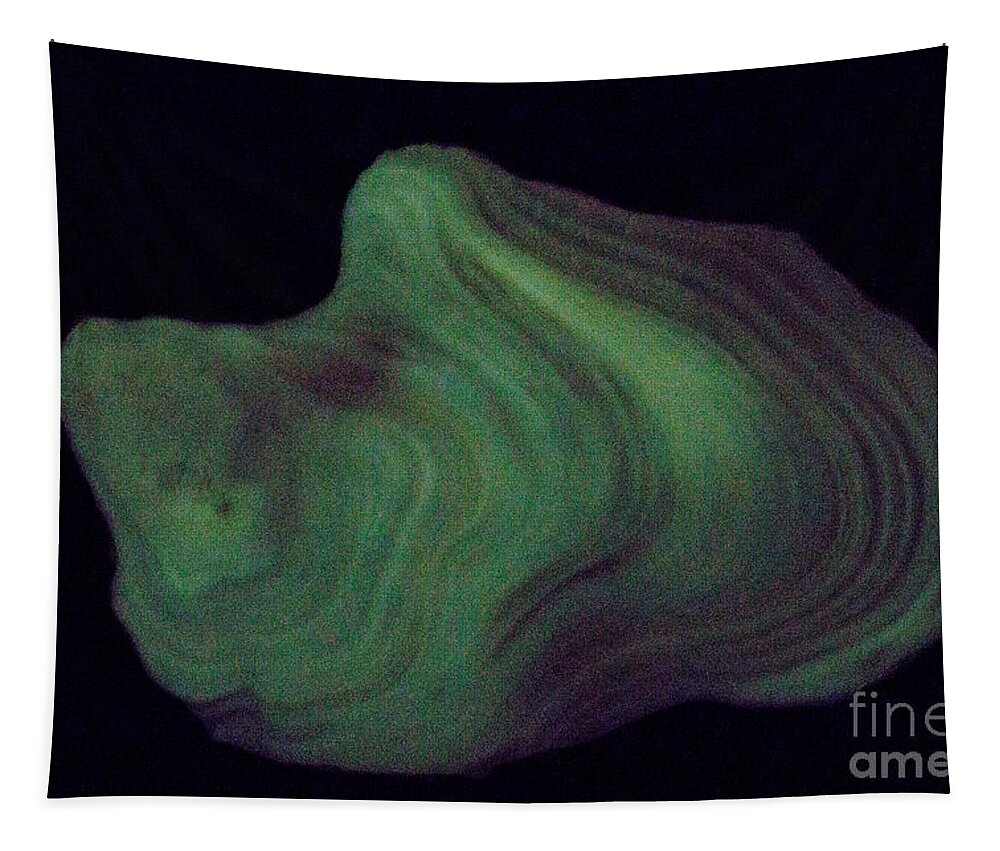 Rock Tapestry featuring the photograph Phosphorescent Stalagmite Section #4 by Ted Kinsman