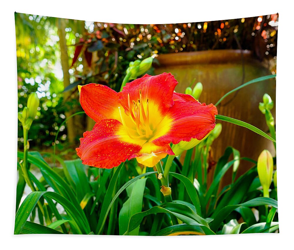 Beautiful Tapestry featuring the photograph Pretty flower by Raul Rodriguez