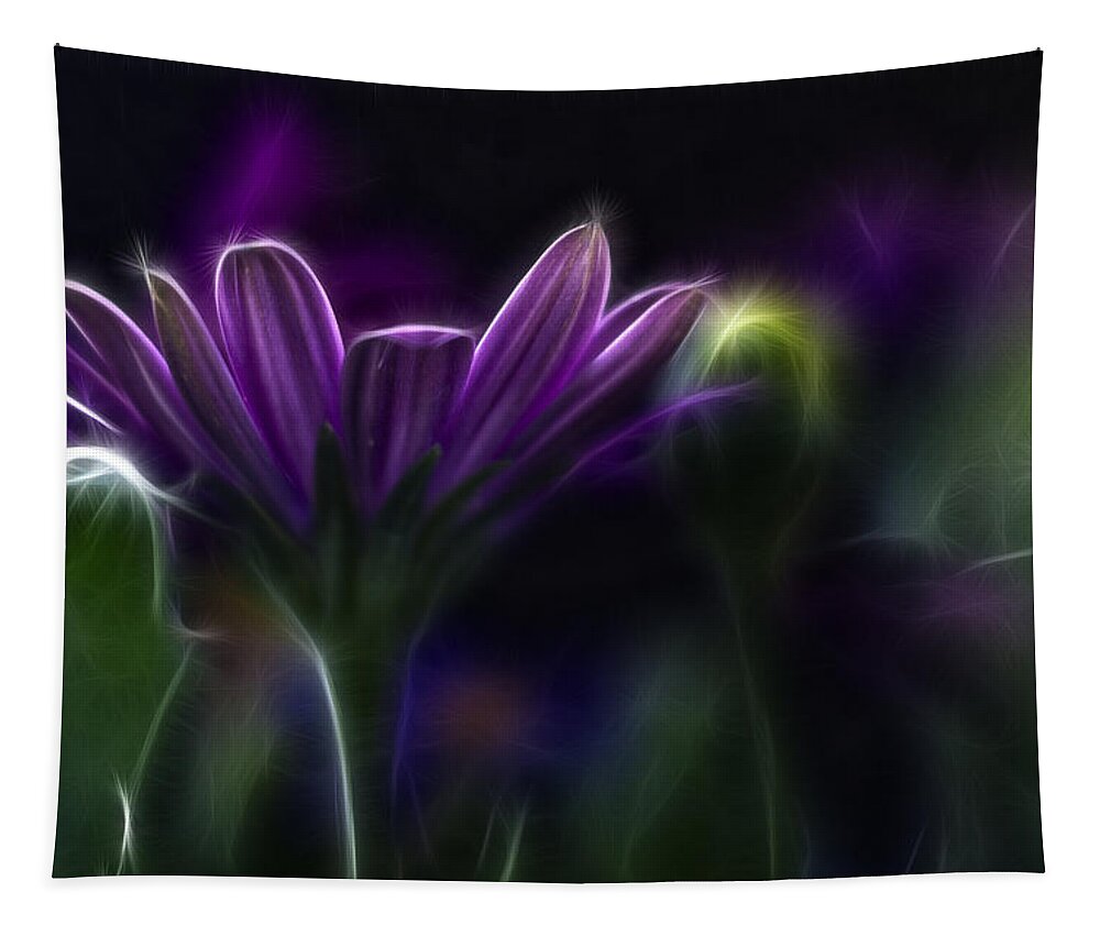 Abstract Tapestry featuring the photograph Purple Daisy by Stelios Kleanthous