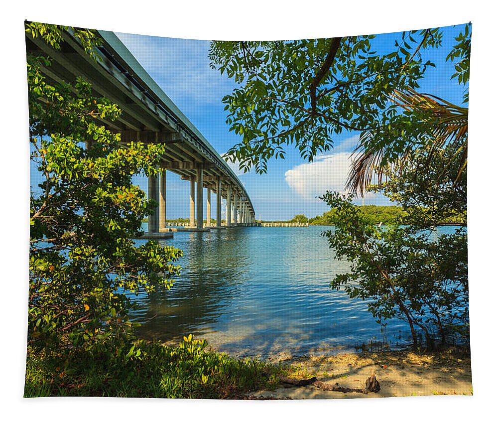 Everglades Tapestry featuring the photograph San Marco Bridge by Raul Rodriguez