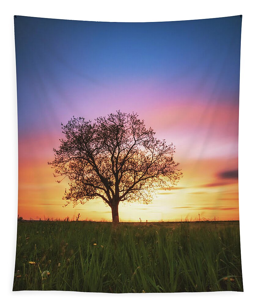 Tree Tapestry featuring the photograph Sunset #4 by Marc Braner