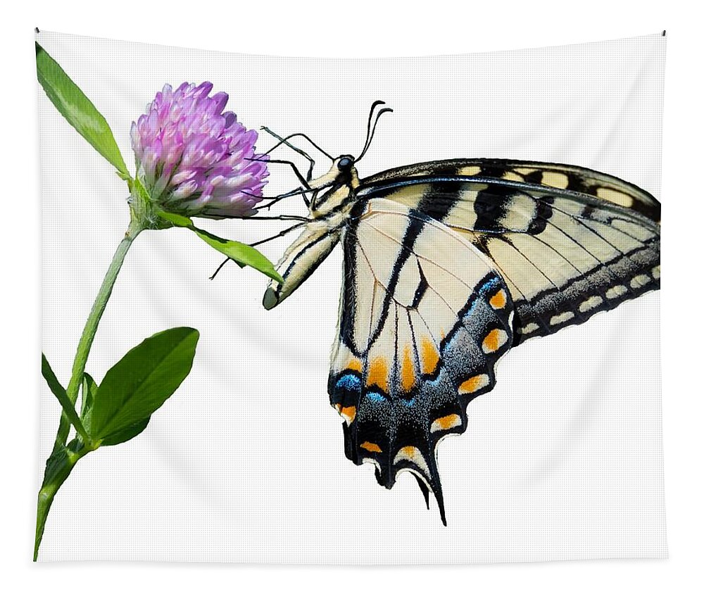 Tiger Swallowtail Butterfly Tapestry featuring the photograph Tiger Swallowtail Butterfly by Holden The Moment