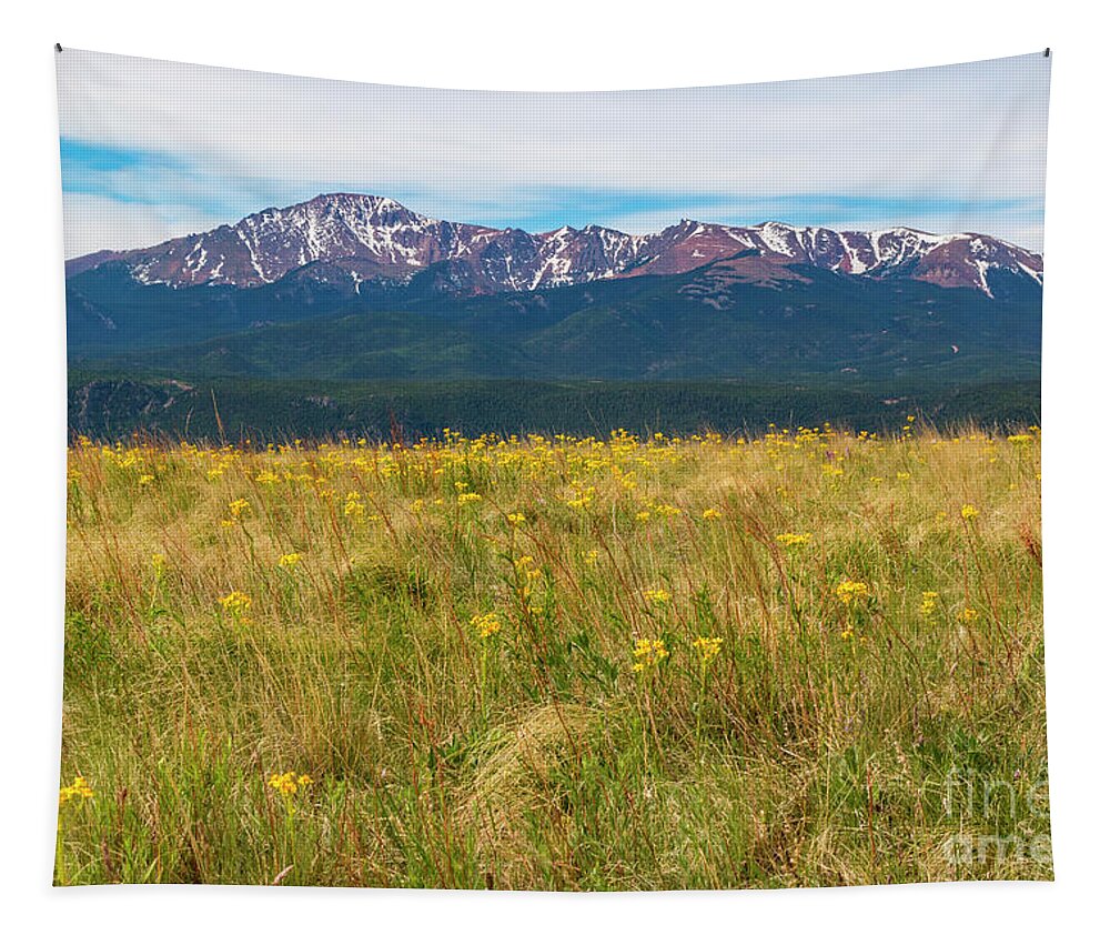 Wildflowers Tapestry featuring the photograph Wildflowers and Pikes Peak #2 by Steven Krull