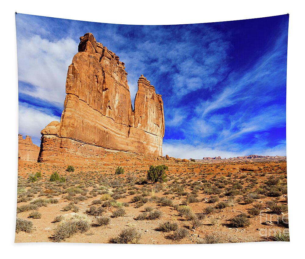 Arches National Park Tapestry featuring the photograph Arches National Park #20 by Raul Rodriguez