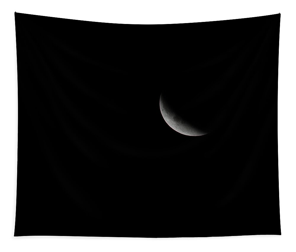 Terry D Photography Tapestry featuring the photograph 2015 Harvest Moon Eclipse 1 by Terry DeLuco