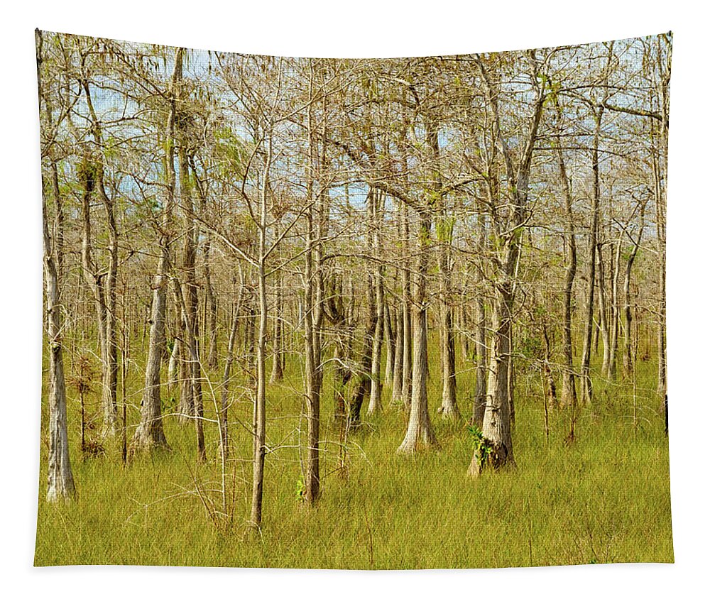 Big Cypress National Preserve Tapestry featuring the photograph Florida Everglades by Raul Rodriguez