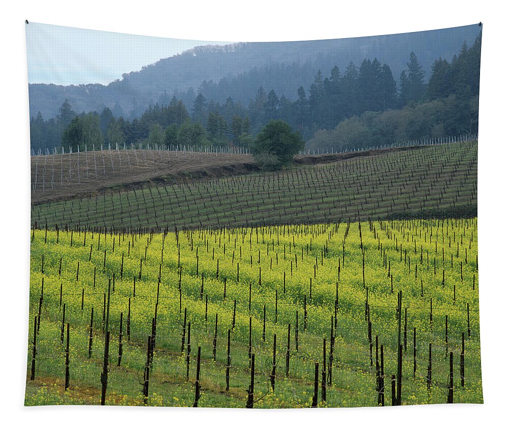Mustard Tapestry featuring the photograph 2B6320 Mustard in Vinyards by Ed Cooper Photography