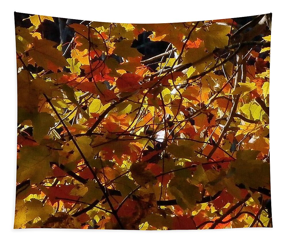 Leaves Tapestry featuring the photograph Autumn Leaves #3 by Wolfgang Schweizer