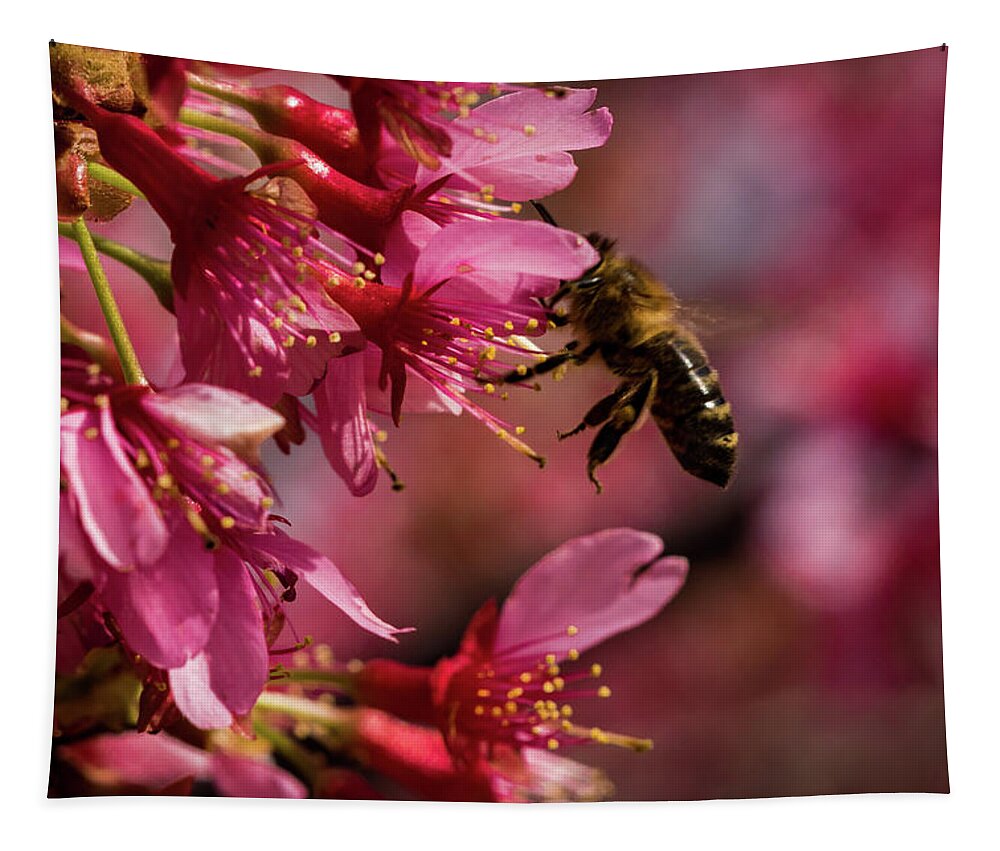 Jay Stockhaus Tapestry featuring the photograph Bee #3 by Jay Stockhaus