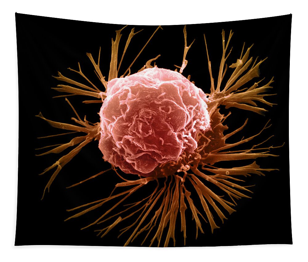 Sem Tapestry featuring the photograph Breast Cancer Cell #6 by Science Source