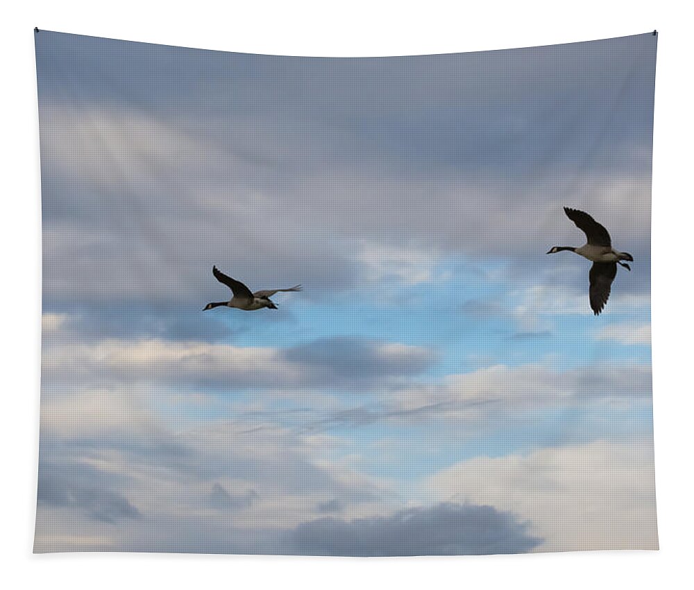 Canada Geese Tapestry featuring the photograph Canada Geese #3 by Holden The Moment