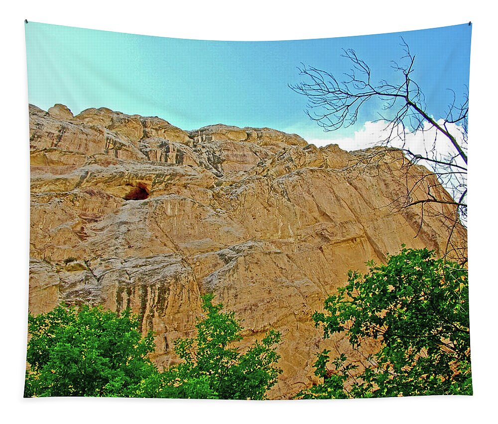 Hog Canyon Trail On Tour Of The Tilted Rocks In Dinosaur National Monument Tapestry featuring the photograph Hog Canyon Trail on Tour of the Tilted Rocks in Dinosaur National Monument, Utah #3 by Ruth Hager