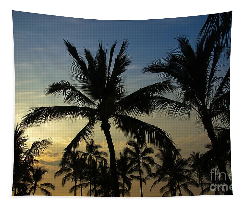 Kona Sunset Tapestry featuring the photograph Kona Sunset #3 by Kelly Wade