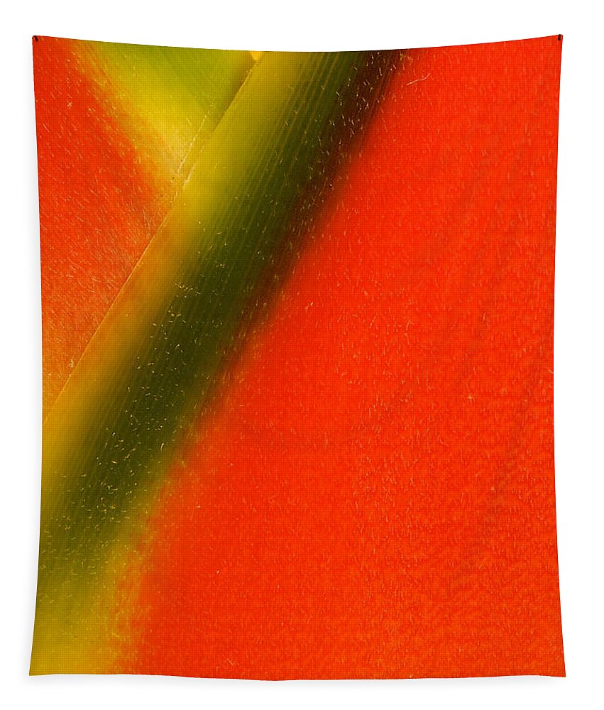 Flowers Tapestry featuring the photograph Photograph of a Lobster Claws Heliconia #3 by Perla Copernik