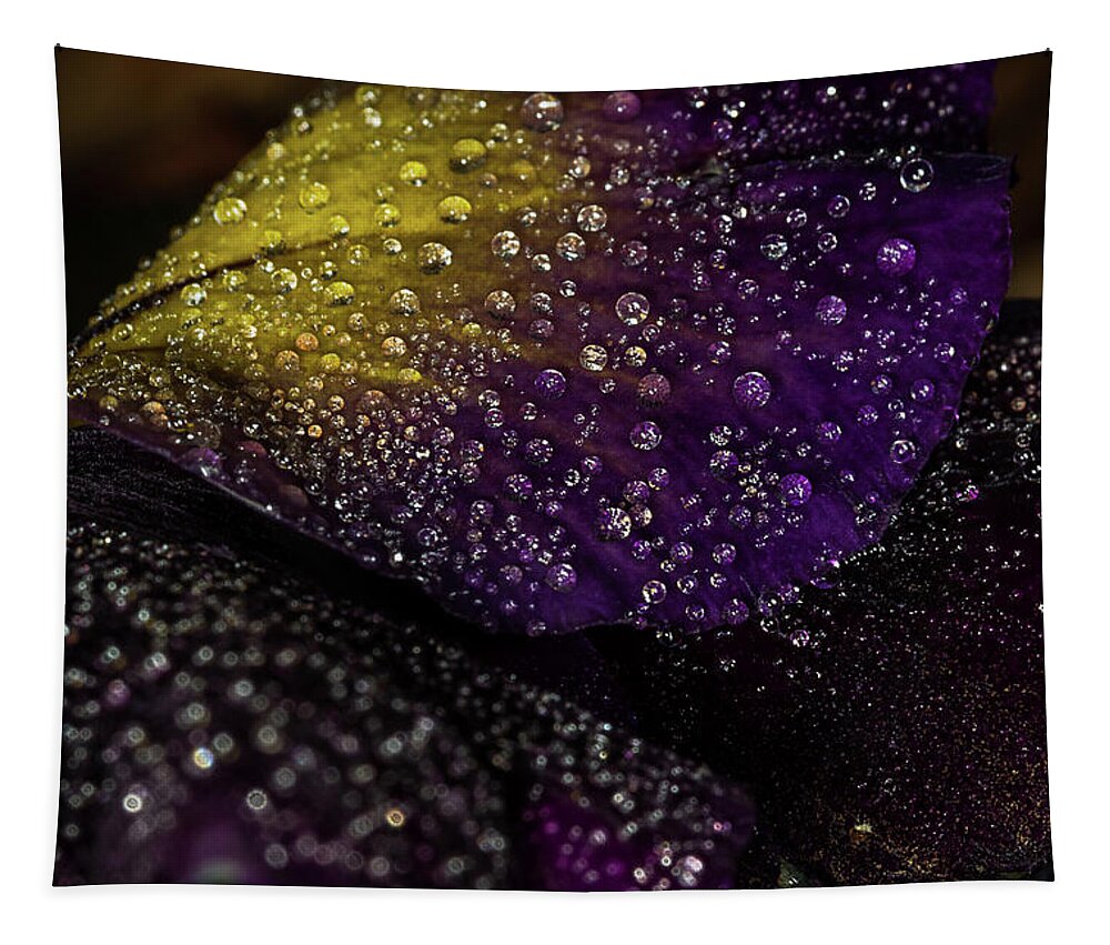 Jay Stockhaus Tapestry featuring the photograph Purple and Yellow #3 by Jay Stockhaus
