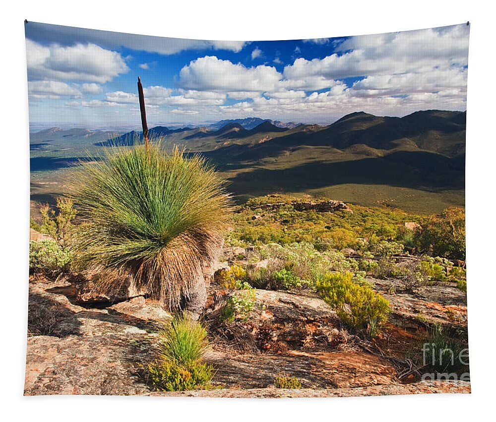 Wilpena Pound St Maty's Peak Flinders Ranges South Australia Landscape Australian Outback Tapestry featuring the photograph Wilpena Pound #3 by Bill Robinson