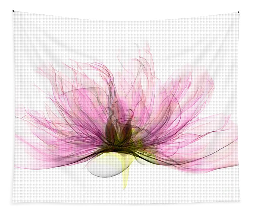 Xray Tapestry featuring the photograph X-ray Of Peony Flower by Ted Kinsman