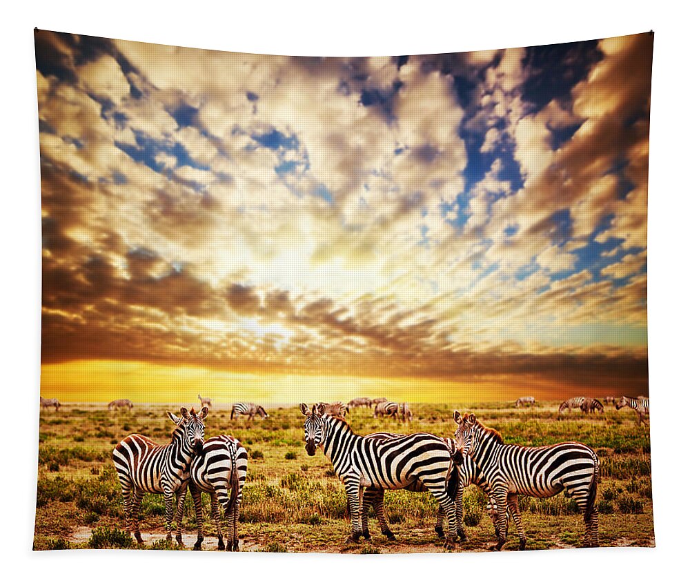 Africa Tapestry featuring the photograph Zebras herd on African savanna at sunset. #3 by Michal Bednarek