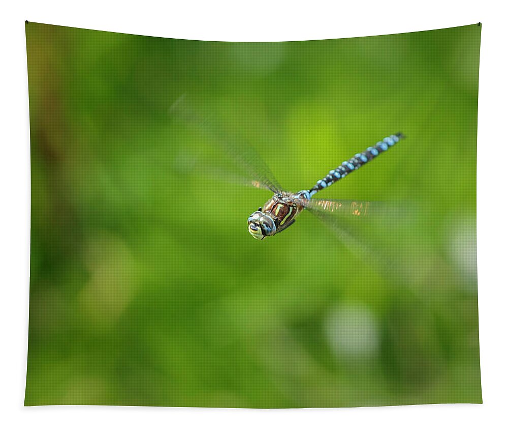 Dragonfly Tapestry featuring the photograph Emperor Dragonfly by Rick Deacon