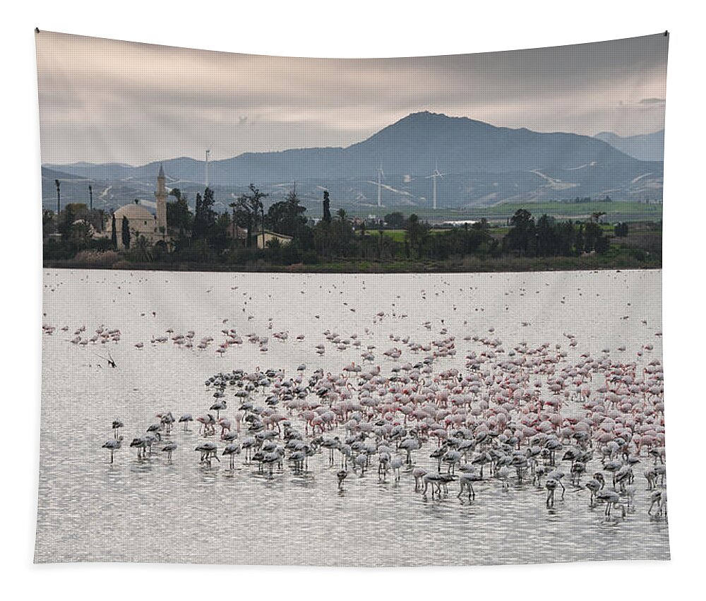 Flamingo Tapestry featuring the photograph Flamingo Birds #4 by Michalakis Ppalis