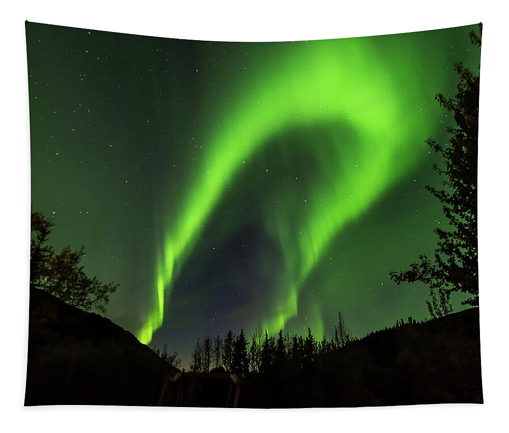 Denali Tapestry featuring the photograph Northern lights, aurora borealis at Kantishna Lodge in Denali National Park #4 by Brenda Jacobs