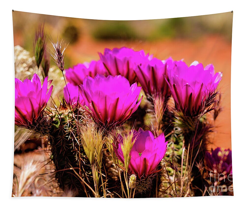 Arizona Tapestry featuring the photograph Sedona Cactus Flower by Raul Rodriguez