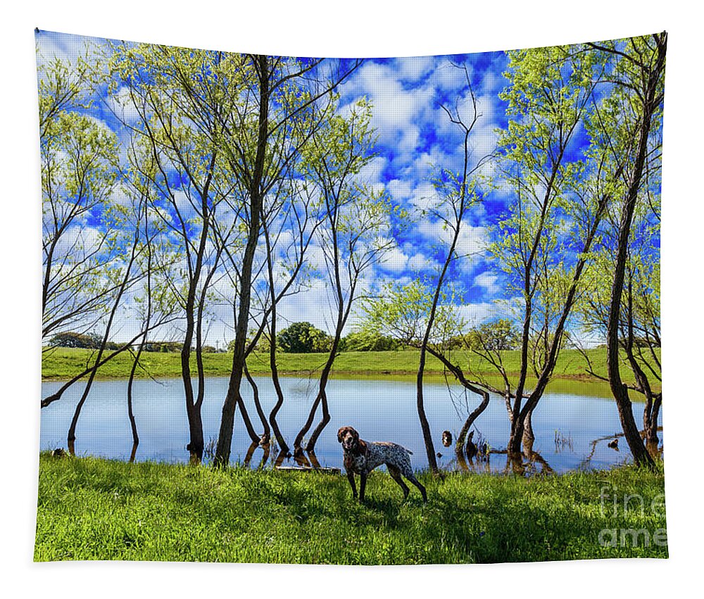 Austin Tapestry featuring the photograph Texas Hill Country by Raul Rodriguez