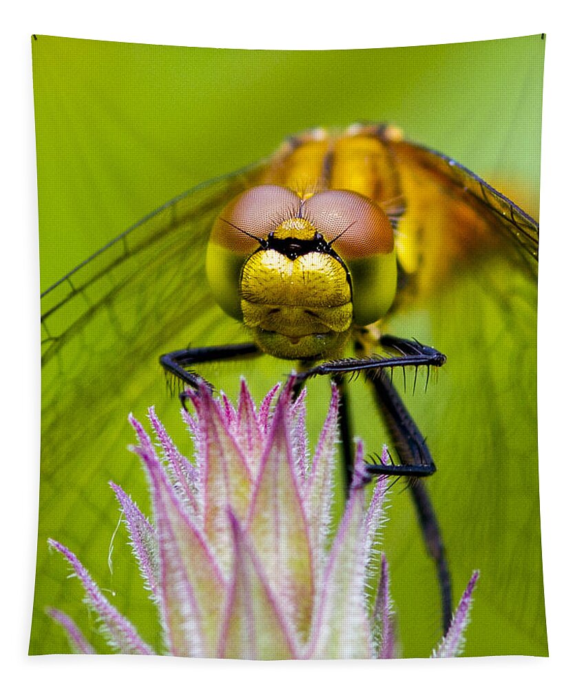 Dragonfly Tapestry featuring the photograph Dragonfly #6 by Chris Smith