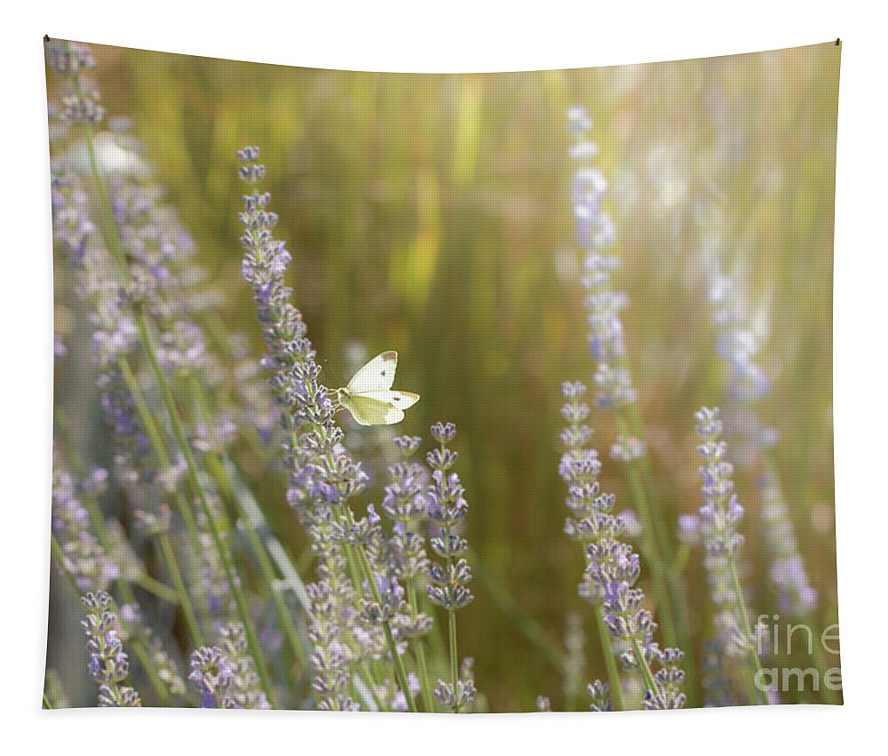 Animal Tapestry featuring the photograph Pieris brassicae, the large white, also called cabbage butterfly #6 by Amanda Mohler