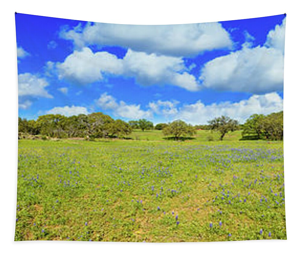 Austin Tapestry featuring the photograph Texas Hill Country by Raul Rodriguez
