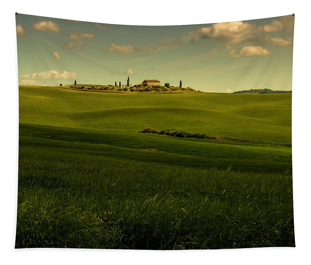 Tuscany Tapestry featuring the photograph Val d'Orcia Landscape #6 by Wolfgang Stocker